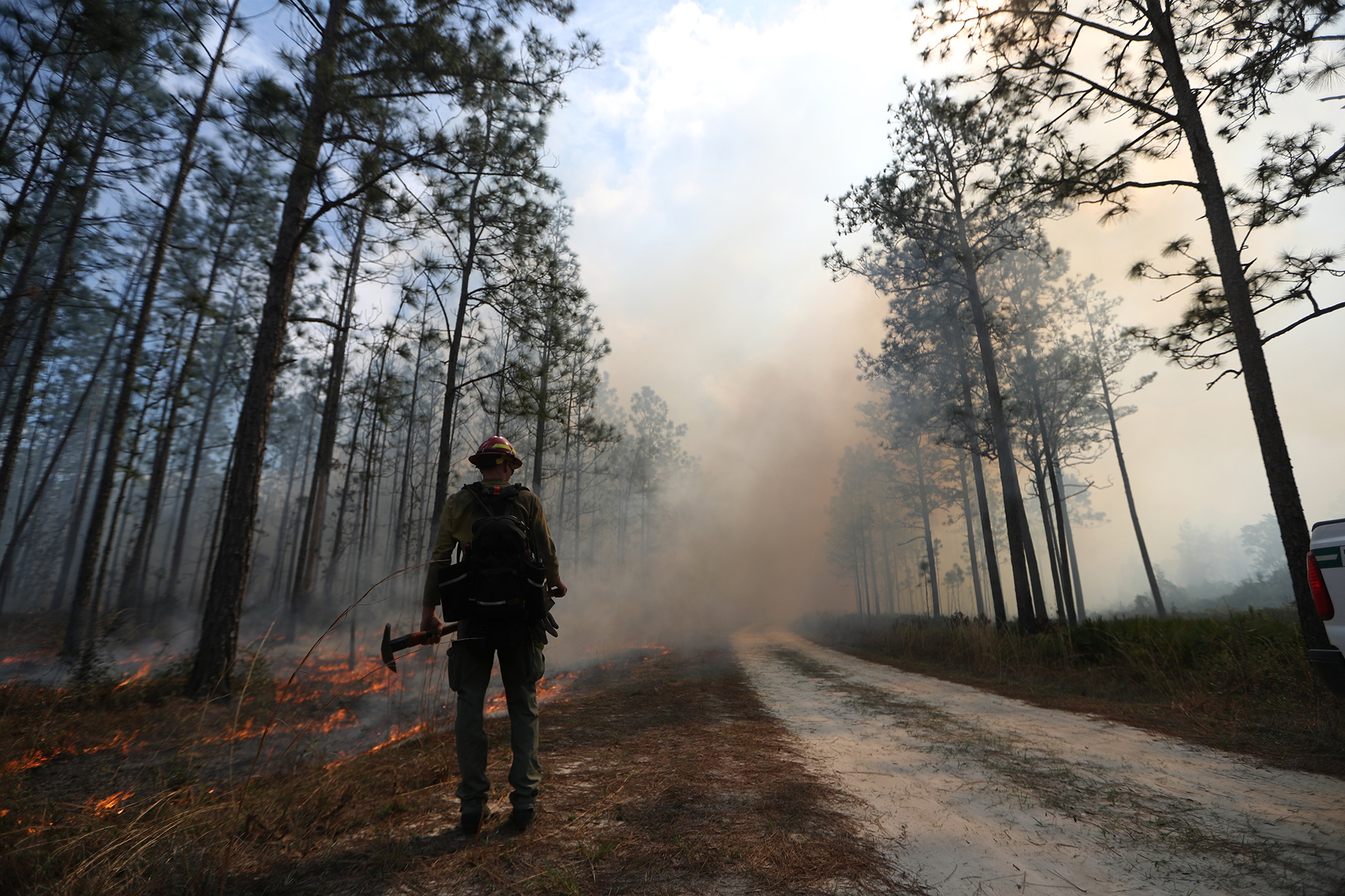 Controlled burn in the Apalachicola National Forest on Tuesday, Feb. 27, 2018.